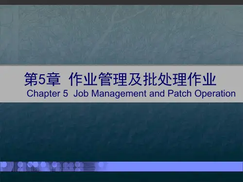 第5章 作业管理及批处理作业