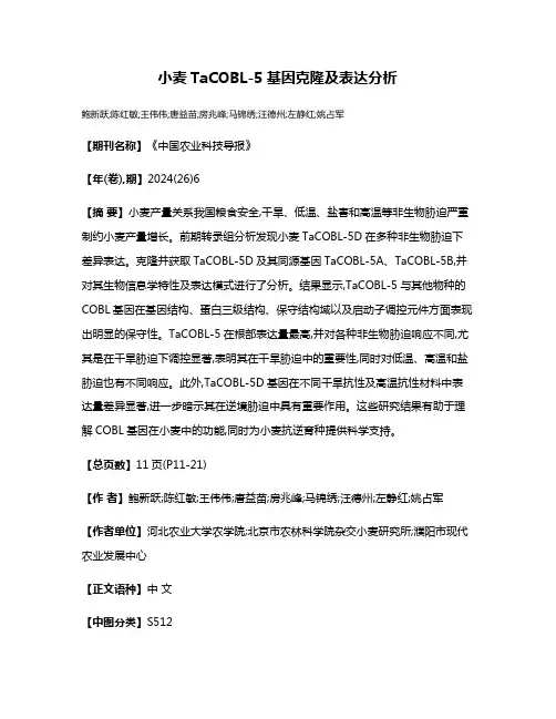 小麦TaCOBL-5基因克隆及表达分析
