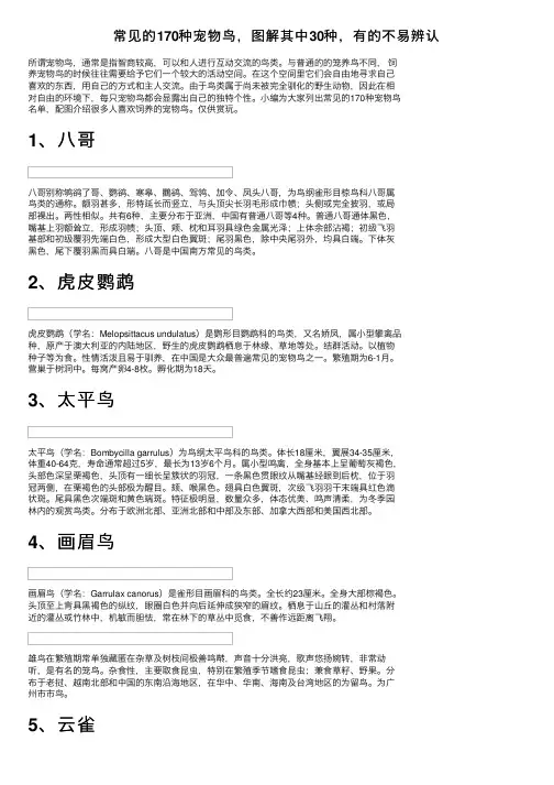常见的170种宠物鸟，图解其中30种，有的不易辨认