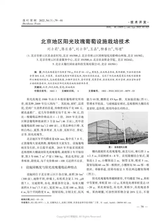 北京地区阳光玫瑰葡萄设施栽培技术