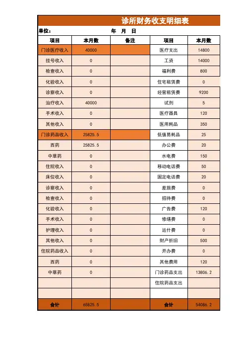 诊所收支明细表Excel文档_