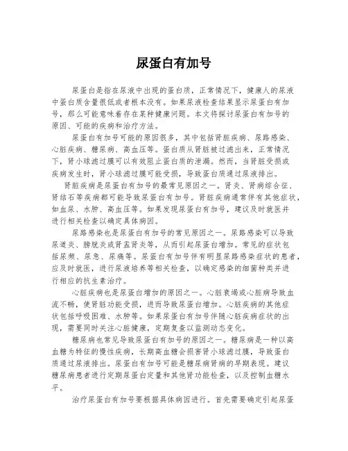 尿蛋白有加号
