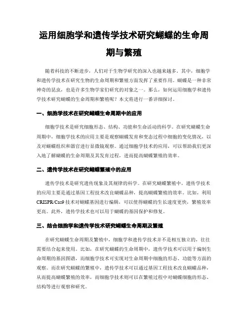 运用细胞学和遗传学技术研究蝴蝶的生命周期与繁殖