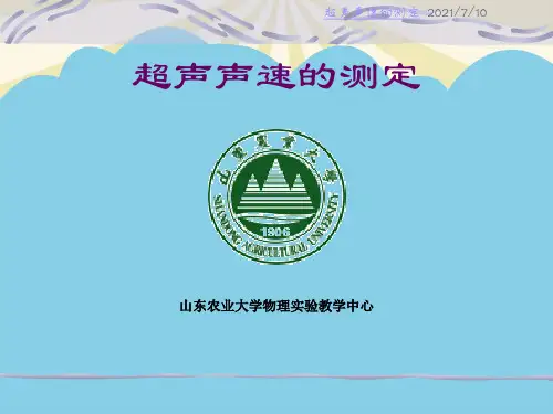 【优】超声声速的测定最全PPT