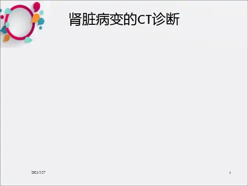 《肾脏病变CT诊断》PPT课件
