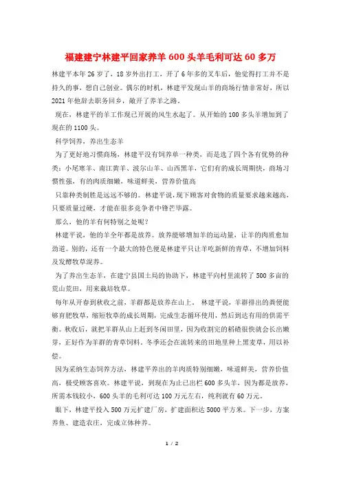 福建建宁林建平回家养羊600头羊毛利可达60多万