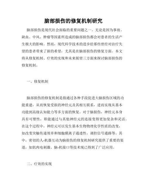 脑部损伤的修复机制研究