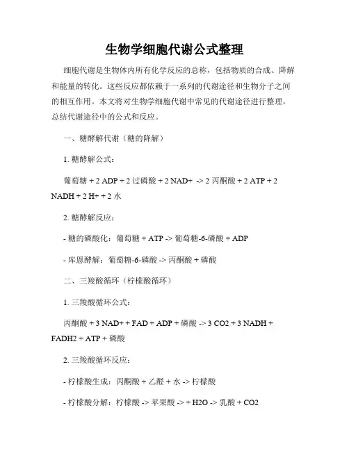 生物学细胞代谢公式整理