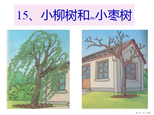 小学语文二年级上小柳树和小枣树pptPPT课件