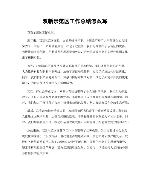 双新示范区工作总结怎么写