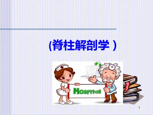 (精选课件)脊柱解剖图PPT幻灯片