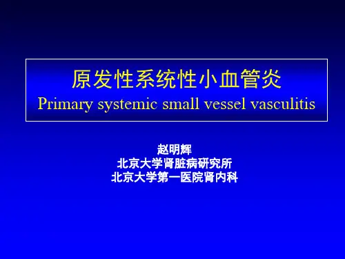 原发性系统性小血管炎1