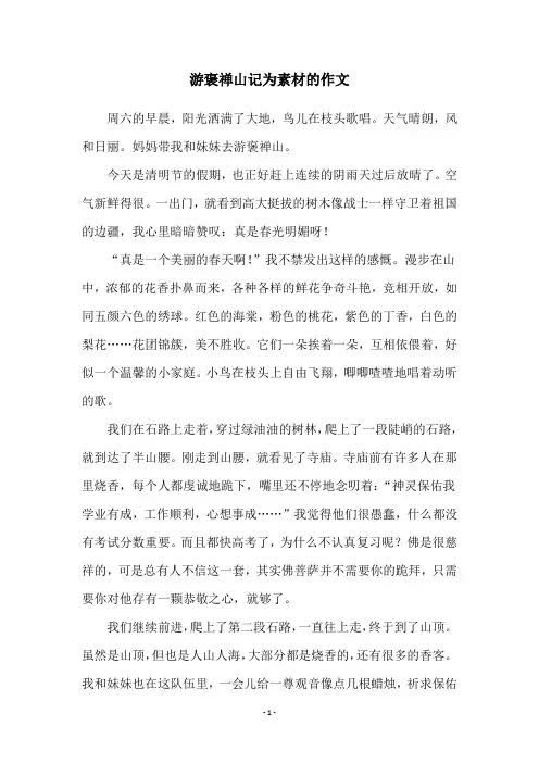 游褒禅山记为素材的作文