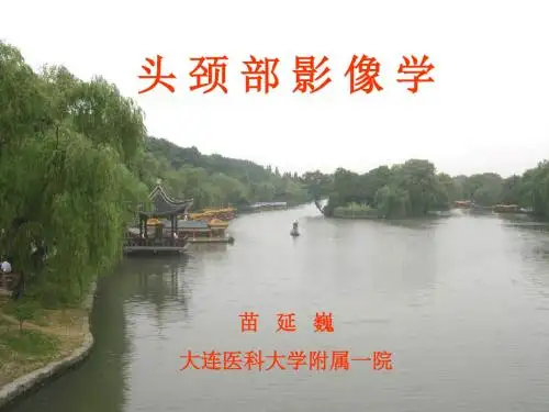 头 颈 部 影 像 学