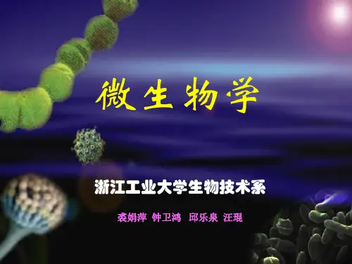 第二章 原核微生物 第一节 细菌(2)