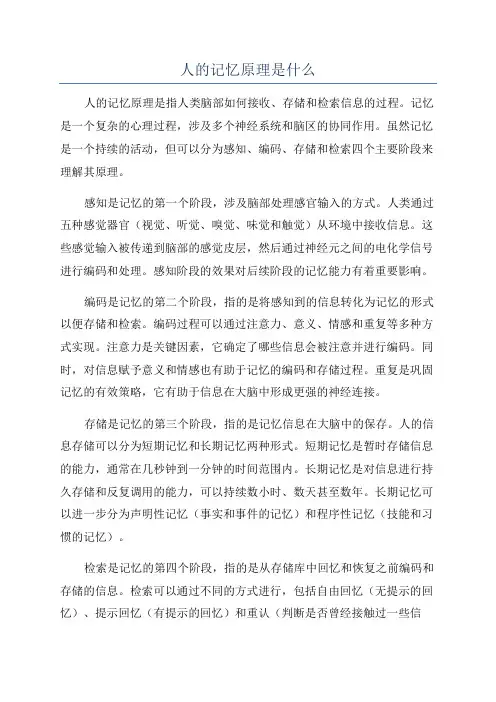 人的记忆原理是什么