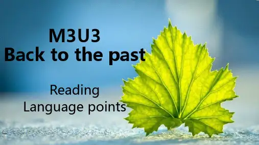 牛津高中英语模块三Unit3Reading语言点(共49张ppt )