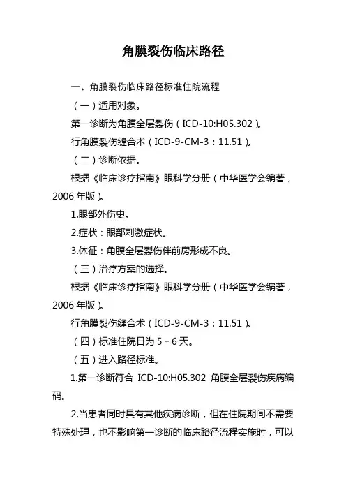 13=角膜裂伤
