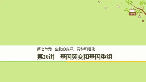 2019_2020学年高考生物大一轮复习课件： 第七单元 生物的变异、育种和进化 第20讲 基因突变和基因重组课件