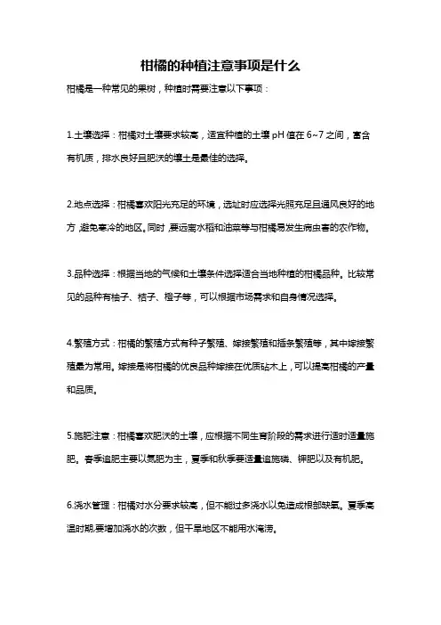 柑橘的种植注意事项是什么