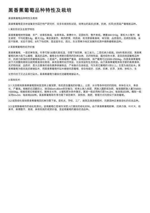 黑香蕉葡萄品种特性及栽培