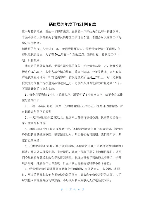 销售员的年度工作计划5篇