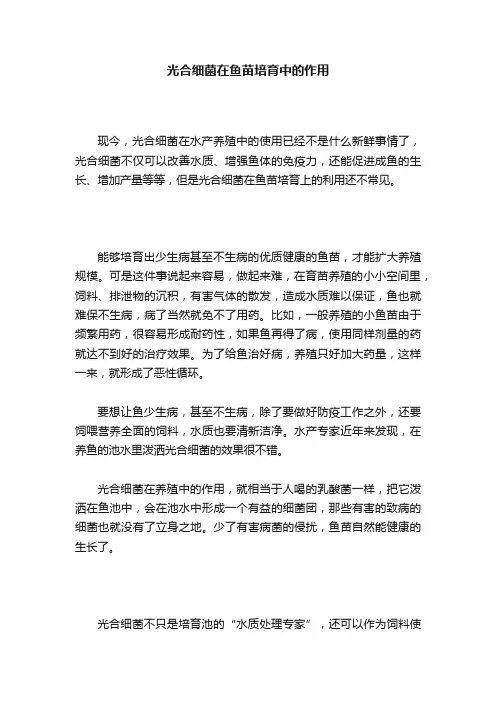 光合细菌在鱼苗培育中的作用