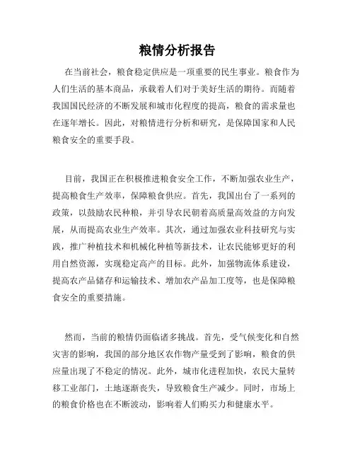 粮情分析报告
