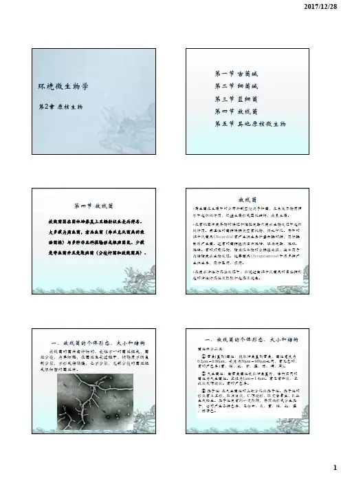 环境微生物学2-3放线菌