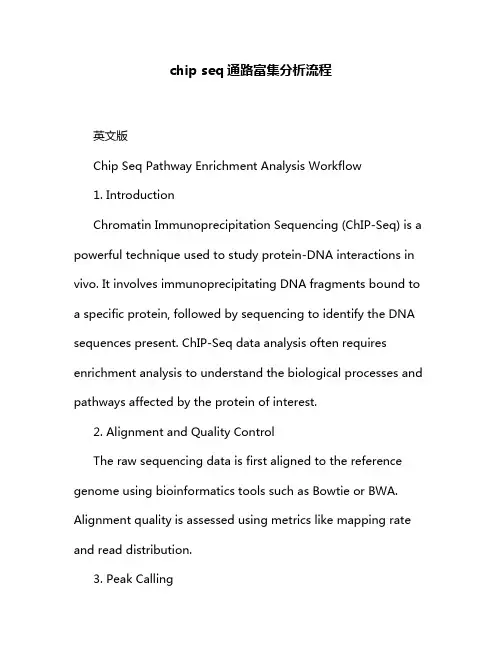 chip seq通路富集分析流程