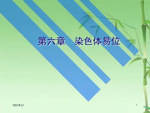 染色体易位(共71张PPT)