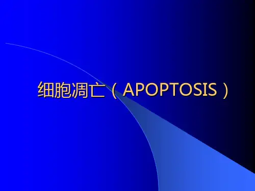 细胞凋亡(APOPTOSIS)专题知识讲座