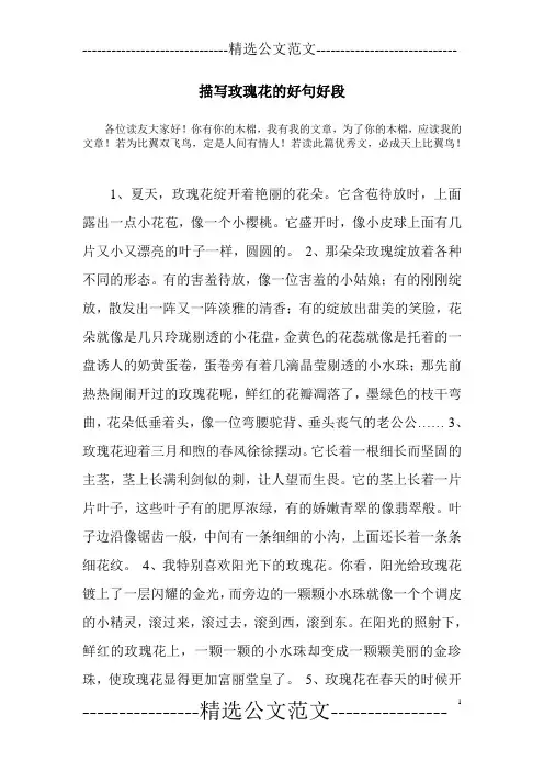 描写玫瑰花的好句好段