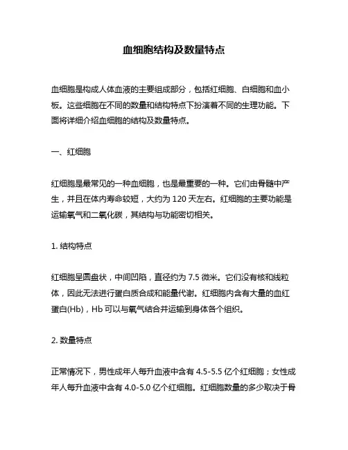 血细胞结构及数量特点