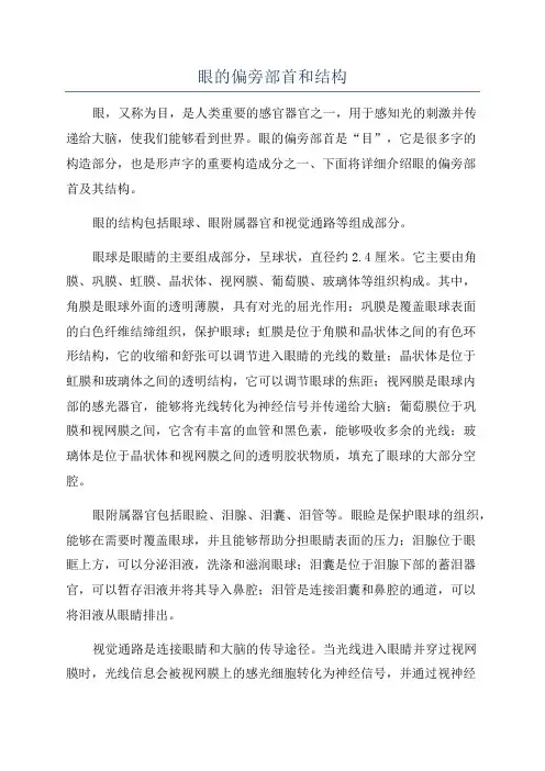 眼的偏旁部首和结构