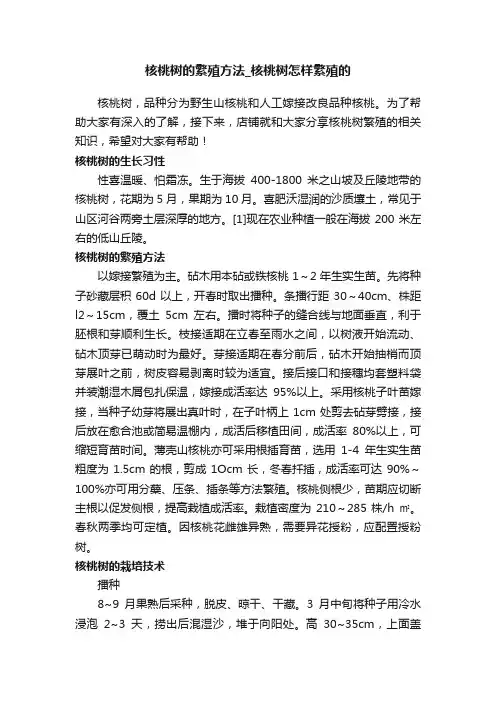 核桃树的繁殖方法_核桃树怎样繁殖的
