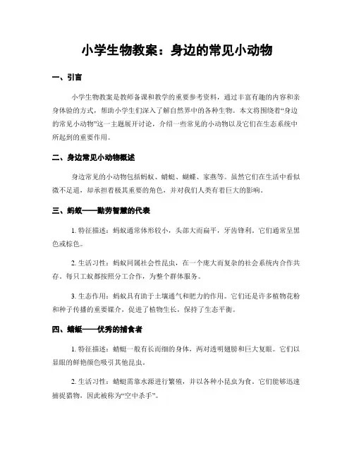 小学生物教案：身边的常见小动物