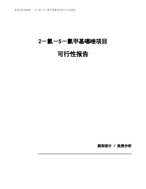 2-氯-5-氯甲基噻唑项目可行性报告(投资建议模板参考)