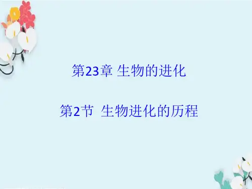 (苏科八下) 7.23.2 生物进化的历程