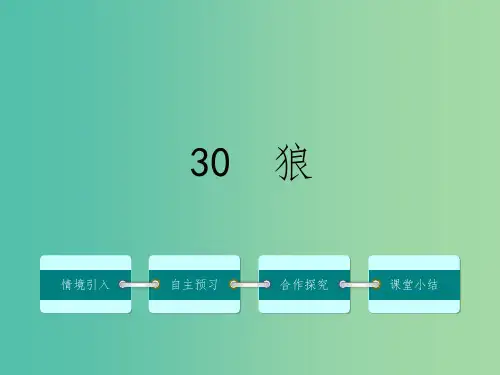 七年级语文下册 第六单元 30 狼课件 (新版)新人教版