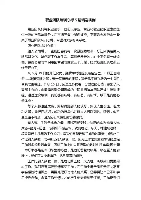 职业团队培训心得5篇精选实例