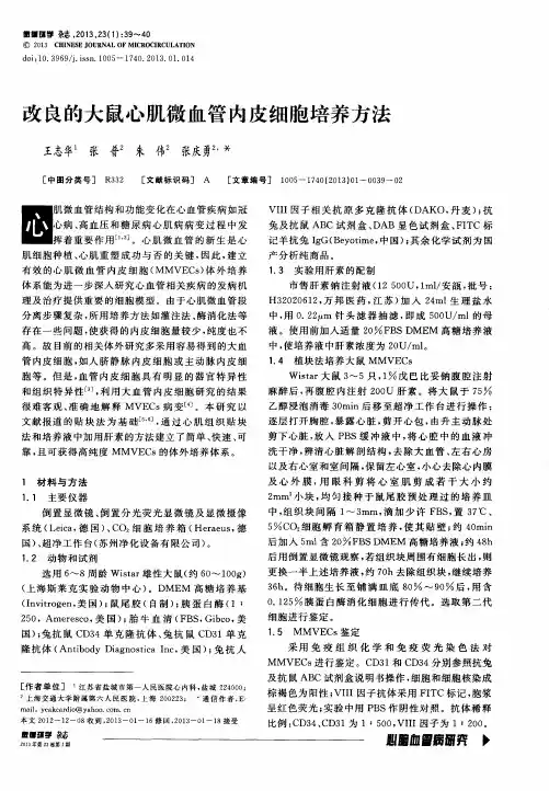 改良的大鼠心肌微血管内皮细胞培养方法