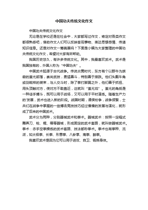 中国功夫传统文化作文