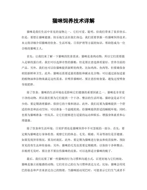 猫咪饲养技术详解