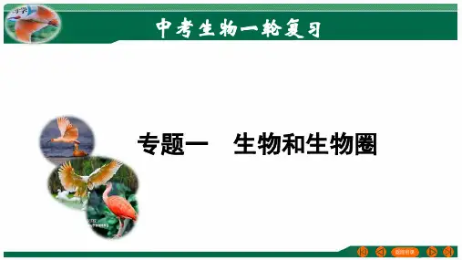 生物和生物圈(课件帮)-备战2024年中考生物一轮复习考点帮(全国通用