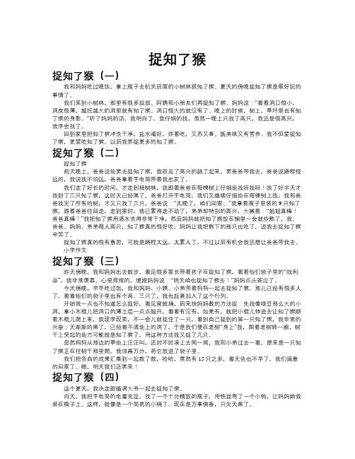 捉知了猴作文共九篇