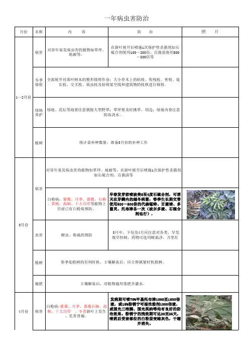 常见景观苗木一年病虫害防治工作表概要