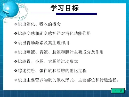 《消化和吸收》PPT课件