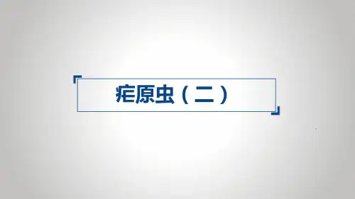疟原虫(二)
