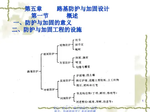 路基防护和加固设计-PPT课件